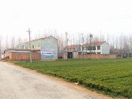 白莊村[河北省黃驊市舊城鎮白莊村]