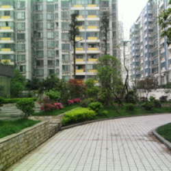 金沙覽勝 金沙覽勝