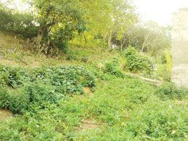 龍脈團山遺址 龍脈團山遺址