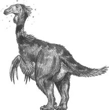 雙足直尾龍 雙足直尾龍