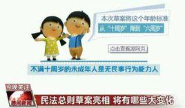 限制民事行為能力 限制民事行為能力