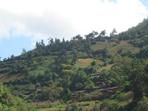 多姑箐村 多姑箐村