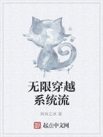 無限穿越系統流