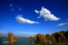 當年西夏境內的沙湖