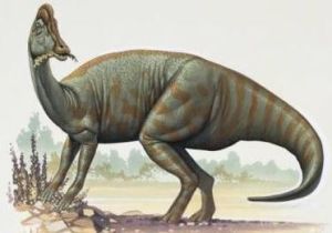 富蘊牙克煞龍 富蘊牙克煞龍