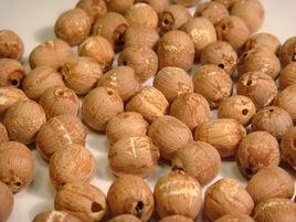 野生紅蓮 野生紅蓮