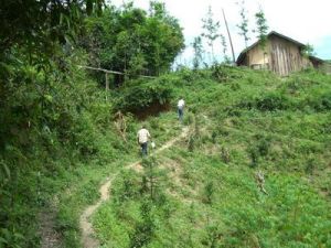 小南坪自然村 小南坪自然村