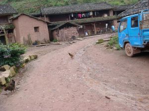 上魚塘村 上魚塘村