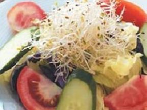 什錦蔬菜沙拉佐優酪汁材料