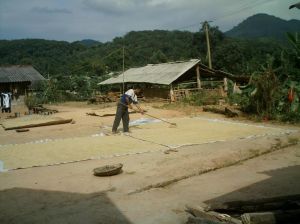 南沙河村 南沙河村