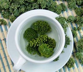 三七花茶 三七花茶