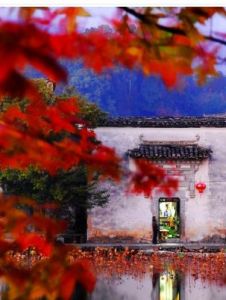 交相輝映 交相輝映