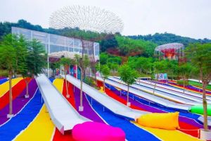 孩子的院子 孩子的院子