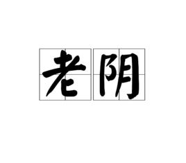 老陰 老陰