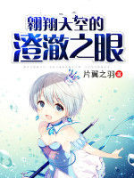 翱翔天空的澄澈之眼