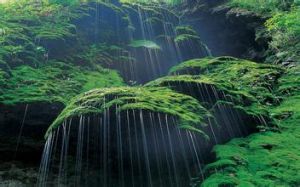 雲台山風景名勝區