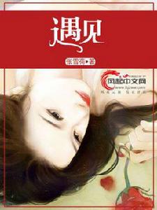 遇見[風起中文網小說]