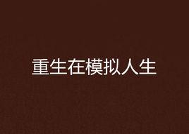 重生在模擬人生 重生在模擬人生