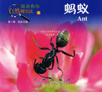 《新法布爾自然觀察法11：螞蟻》