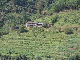 乾海子村[雲南省曲靖會澤縣娜姑鎮乾海子]