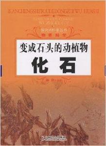 變成石頭的動植物:化石 變成石頭的動植物:化石