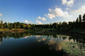 吳淞公園 吳淞公園
