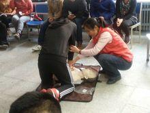 培訓老師指導學員練習胸外按壓