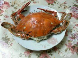 蒸海螃蟹 蒸海螃蟹