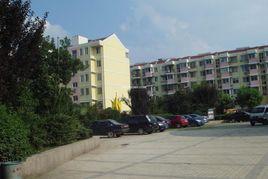 鬱金香花苑 鬱金香花苑