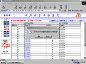 中國電子口岸執法系統
