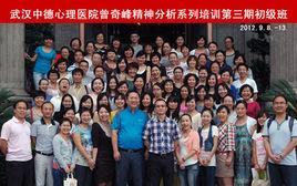 武漢中德心理醫院 武漢中德心理醫院