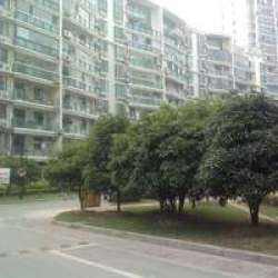 紅山半島一至三期 紅山半島一至三期