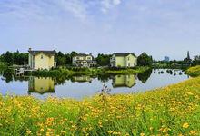 幸福村的全景圖