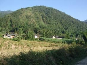 下板自然村 下板自然村