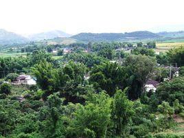 赧滸自然村 赧滸自然村