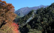 慶大溝森林公園
