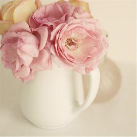 情感[百合屬栽培品種]