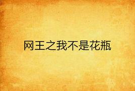 網王之我不是花瓶 網王之我不是花瓶