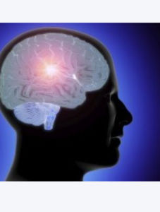 垂體泌乳素 垂體泌乳素