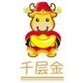 千層金金融網