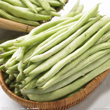 四季豆