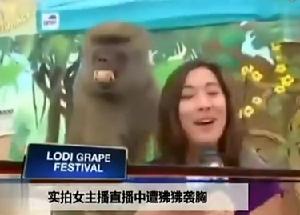 塞不麗娜?羅德里格斯