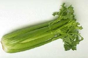 （圖）雙魚茄子