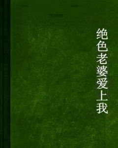 絕色老婆愛上我 絕色老婆愛上我