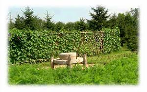 黑龍江省森林植物園