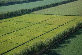 輪水損失 輪水損失