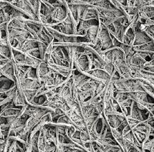 多種紙張紙紋影像