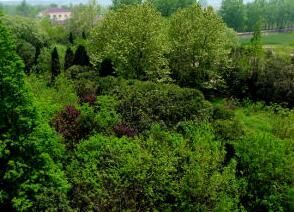 大豐林場森林公園 大豐林場森林公園