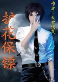 護花保鏢 護花保鏢