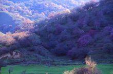 大西溝旅遊風景區